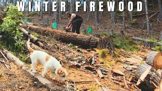 Preparing for winter and building a woodshed