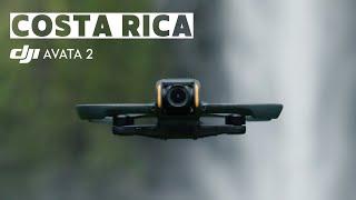 DJI Avata 2 | The Jungle of Costa Rica