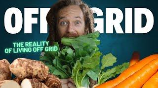 THE REALITY OF LIVING OFF GRID