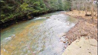 TROUT FISHING Small PA Streams For The Most Beautiful Wild Brown Trout Ever #fishing #trout #fish