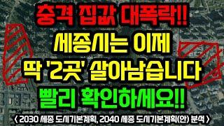 세종시 부동산전망, 이 "2곳"을 주목하세요 / 2030 세종 도시기본계획 분석