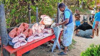 Beautiful Scenes of Cutting  Massive Fish in a Coastal Village