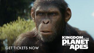 Kingdom Of The Planet Of The Apes | Critics Review | Get Tickets Now!