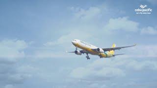 Cebu Pacific Reliability
