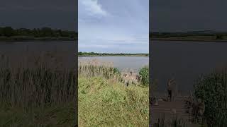 Крым рыбалка озеро в Трехпрудном