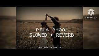 pila phool new version lofi song slowed + reverb..... #cgsong #love #lofi #rakesh