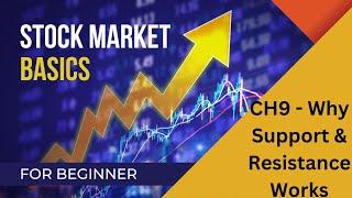 Stock Market Basics Course CH 9: Why Support & Resistance Works