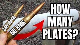 338 Lapua magnum VS 50 BMG - HOW MANY PAPER PLATES???