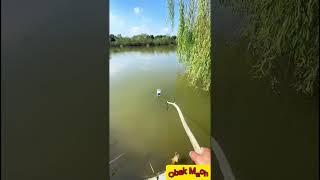 মাছ ধরতেই হবে | Mach dhortei hobe | hook fishing shorts #fishing #ytshorts #shorts