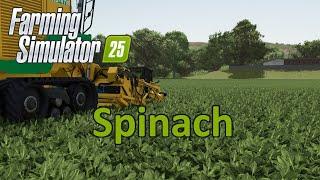 Farming Simulator 25 Tutorial | Spinach