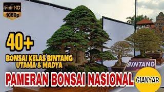 Bonsai Kelas Bintang, Kelas Utama & Madya, Pameran Bonsai Nasional Gianyar Bali