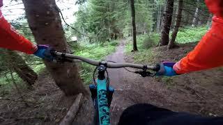 Schwarzleo-Trail im Bikepark Leogang
