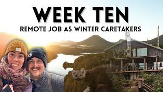 Week Ten: Life As Remote Winter Caretakers in Haida Gwaii, BC