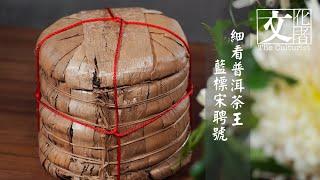 細看普洱茶王： 藍標宋聘號 【文化者‧專訪】