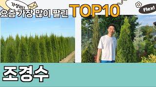 가장 많이 팔린 조경수 추천 Top10!