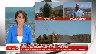 Κανένα ενεργό μέτωπο στον Υμηττό- Βαρύ πλήγμα για την Ελαφόνησο | 12/08/2019 | ΕΡΤ