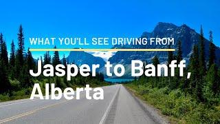 ROAD TRIP from Jasper National Park to Banff National Park, Alberta, Canada