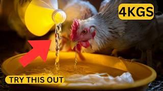 Pour THIS in Your Broiler Water & Watch Them Explode with Growth! (Apple Cider Vinegar)