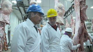 Washington Grown: Inside a Beef Slaughter Facility