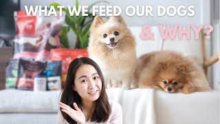 What We Feed Our Dogs Daily? Pomeranian Diet & Nutrition Guide