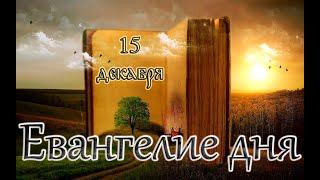 Апостол, Евангелие и Святые дня. Неделя 25-я по Пятидесятнице. (15.12.24)