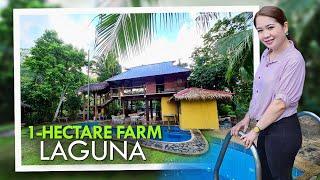 FARM TOUR: Farm Resort With Rest House For Sale in Laguna