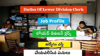 Lower Division Clerk Duties And Job Profile Details In Telugu || Duties Of LDC