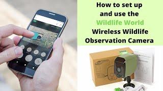 How to set up and use our Wireless Wildlife Observation Camera