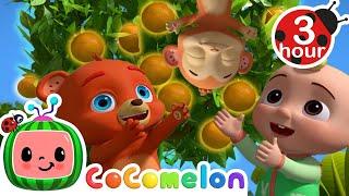 I Can Grow My Own Fruit | Cocomelon - Nursery Rhymes | Fun Cartoons For Kids | Moonbug Kids