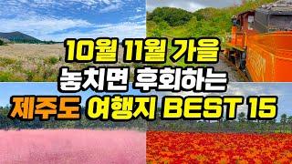 10월 11월 가을 제주도여행 1박2일 2박3일 코스 BEST 15 | 꼭 가봐야 하는 제주 동쪽 서쪽 서귀포 코스