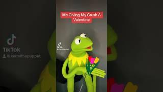 Happy Valentine’s Day From Kermitthepuppet TikTok