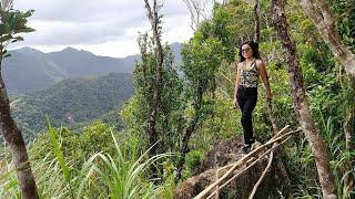 Forest, mountain-top and viewing deck exploration I San Remigio, Antique, Philippines