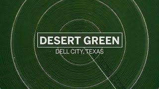 Desert Green | Texas Alfalfa