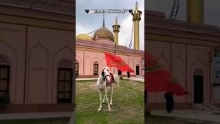 salaam || Hussain a.s #110#viral #shorts #YouTube#nadeem sarwar