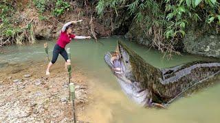 How to use bamboo pipes to fish, catch many wild giant stream fish and cook in the stream.