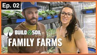 BuildASoil Family Farms: WATERING TOMATO SEEDLINGS