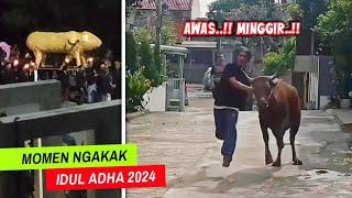 IDUL ADHA CORE..!! Deretan Momen Ngakak Hari Raya Kurban 2024