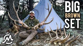 BIG ELK SET & 16 ANTLERS IN A DAY! 2023 Ep. 3