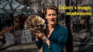 Cooking Lisbon's biggest mushroom.