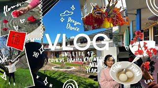 Vlog 17 | Parties | Hot Pot | Chinese New Year 