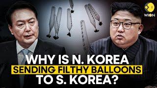 North Korea sends balloons carrying excrement over border with South Korea | WION Originals