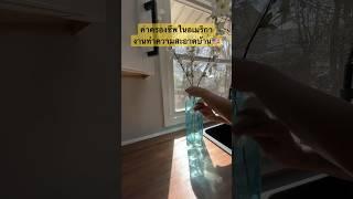 ค่าจ้างคนทำความสะอาดบ้านในอเมริกา จ่ายเท่าไหร่ #cleaning #home #homerenovation #คนไทยในอเมริกา