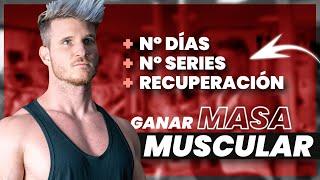 La Frecuencia Perfecta para Ganar Masa Muscular: La Ciencia lo Explica