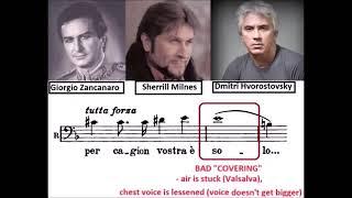 GIRARE & COVER (male voices)