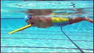 Seminar01-05:Why TI Swimming is Different 2