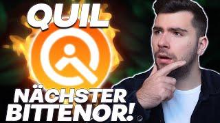 Quilibrium QUIL: Der nächste TAO Bittensor! | Lang lebe das Internet