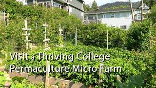 Visit a Thriving College Permaculture Micro Farm