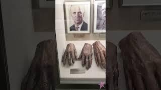 Руки Уолта Диснея | Озвучка Vsauce на русском @Vsauce #озвучка #висос #hands #руки #waltdisney