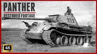 Intense 4K WW2 Panther Restored Footage.