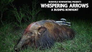 WHISPERING ARROWS... A BUSHPIG BOWHUNT! #bowhunting #easterncape #southafrica